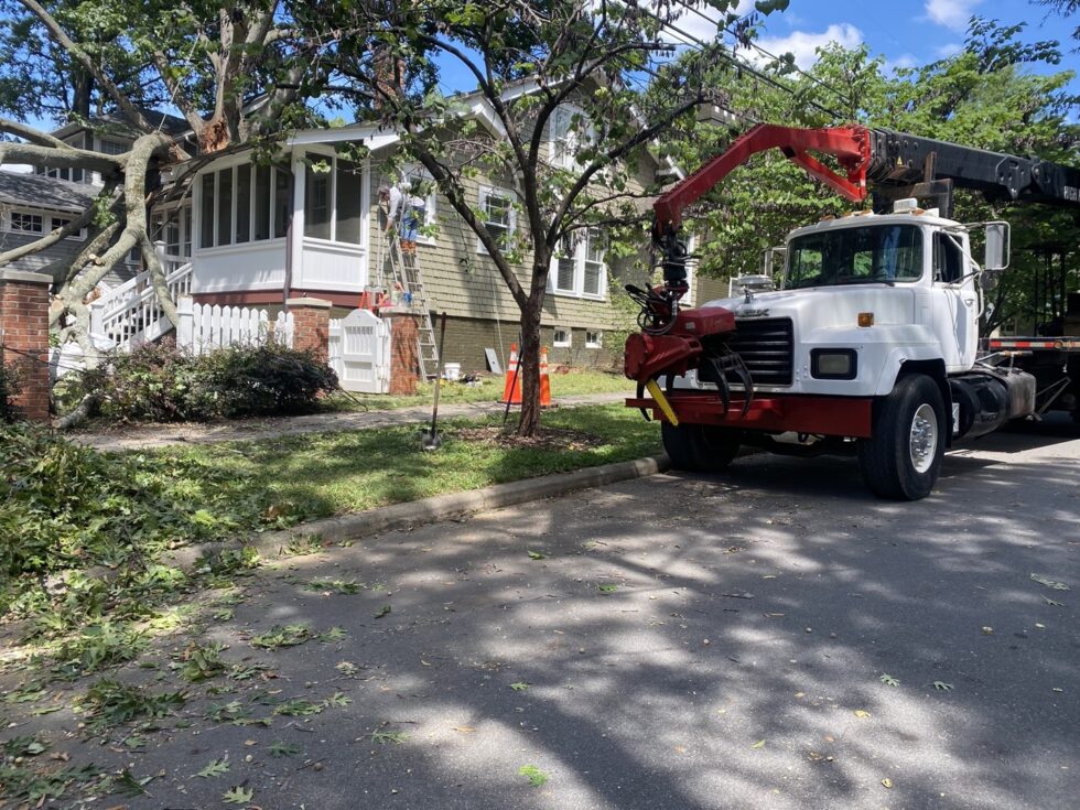 Tree Service Lake Norman, NC - Justin Dugan's Tree Service