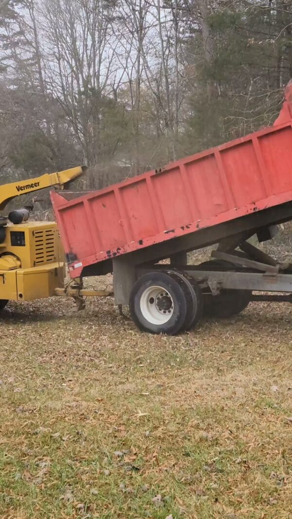 I don’t know about you, but we love a satisfying wood chipper video🌲 👀 #WoodChipper…