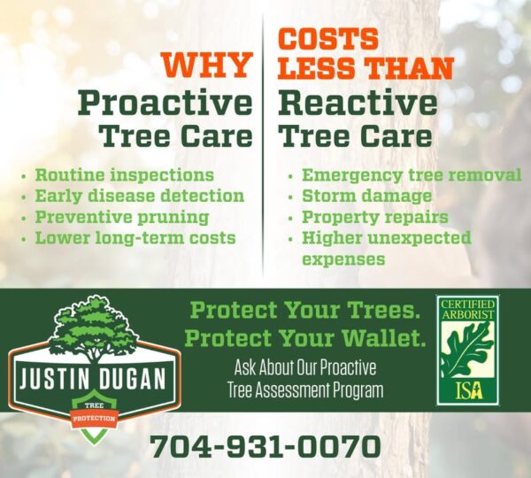 Photo by Justin Dugan's Tree Service,LLC