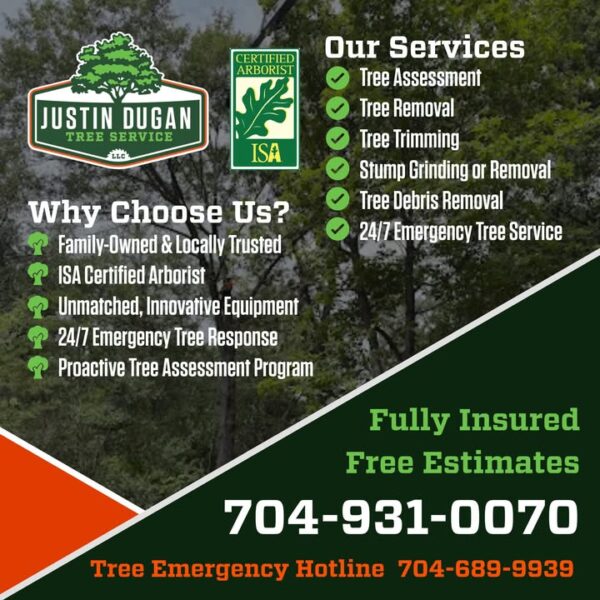 When it comes to tree work, having the right crew and equipment makes all the…