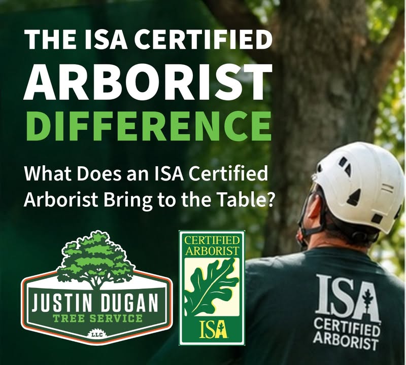 You’ve probably seen the title “ISA Certified Arborist” —but what does it actually mean for…
